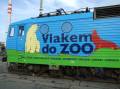 vlakem-do-zoo